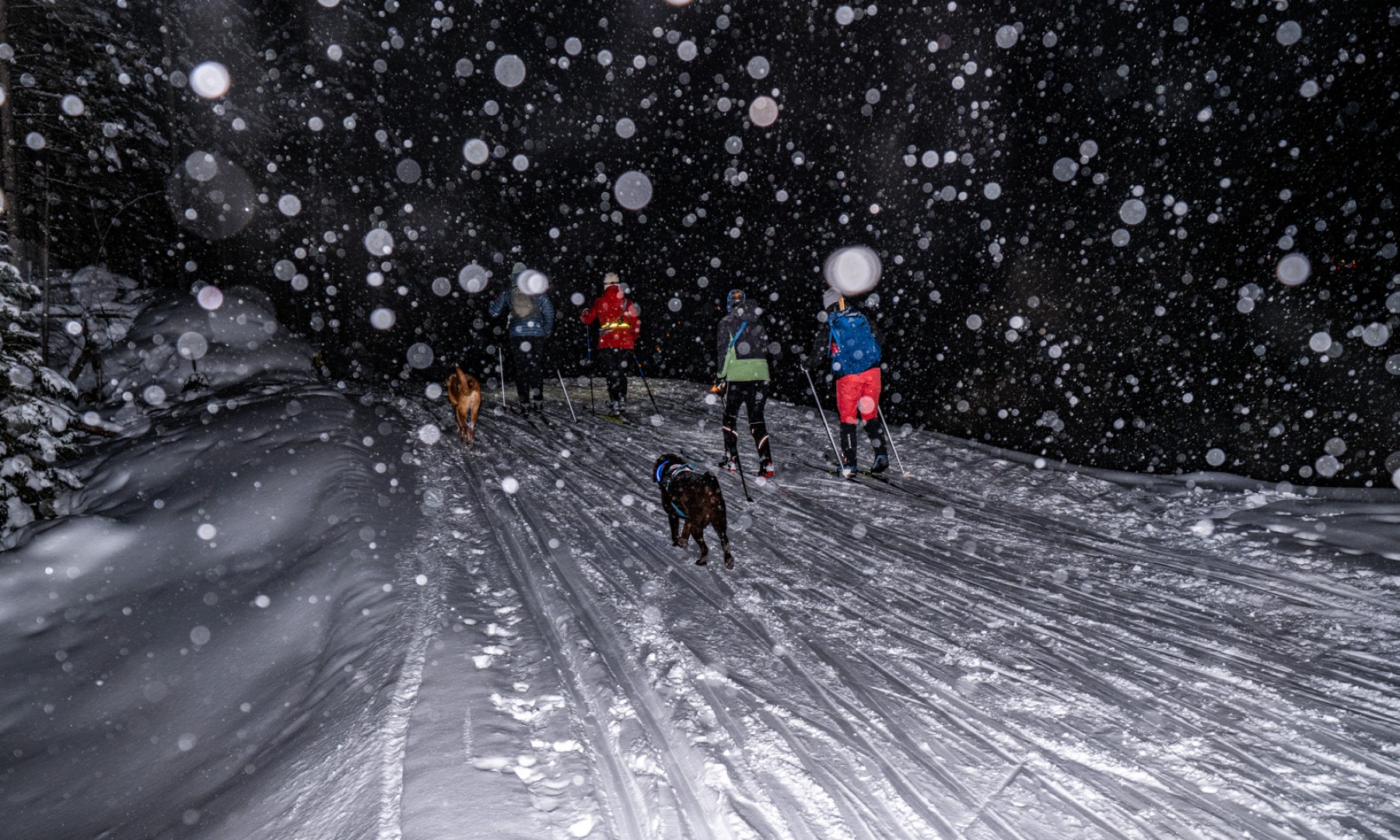 2025 02 16 lantern xc sm 22