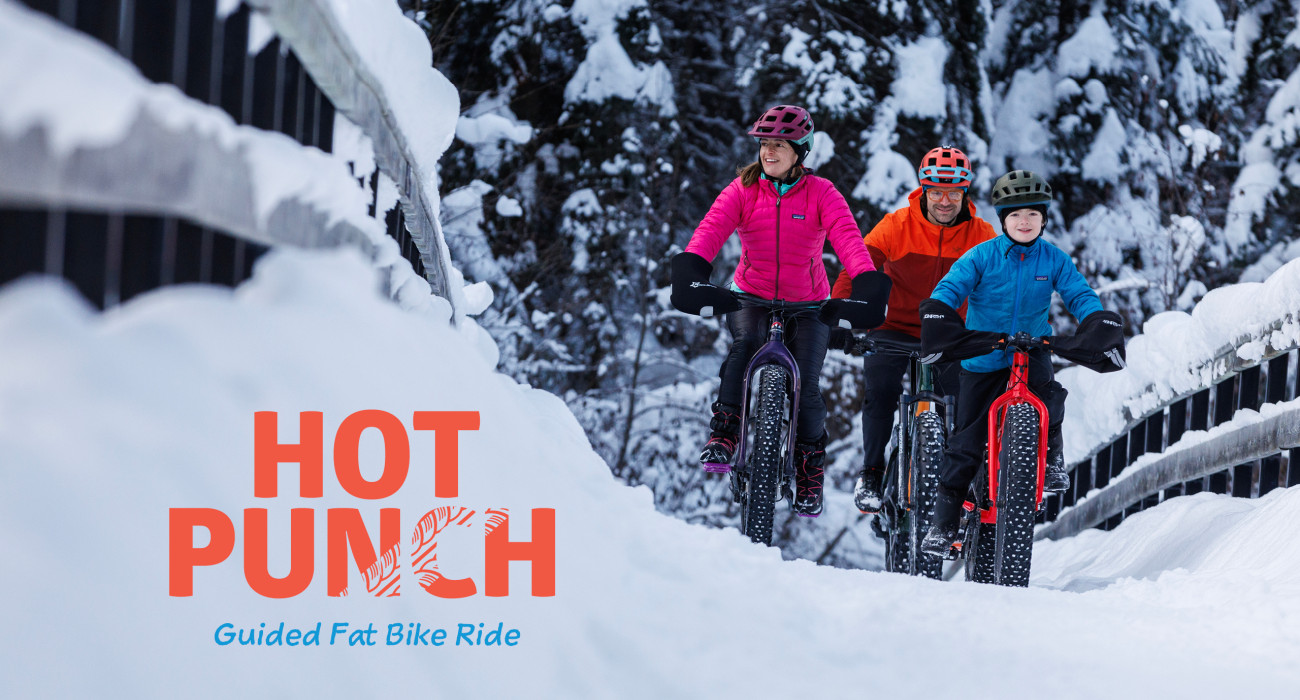 2025 Nordic DigitalScreen HotPunch Website img2