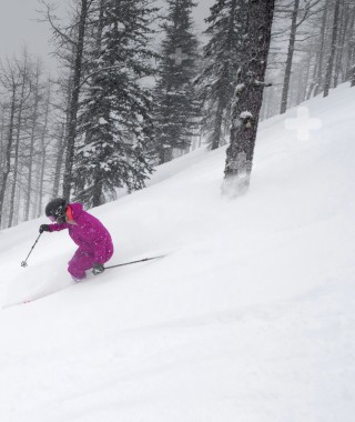 Best Price Snowcard sale on NOW!