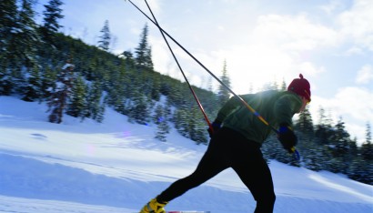 Nordic skier photo