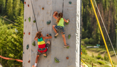 Climbing Wall