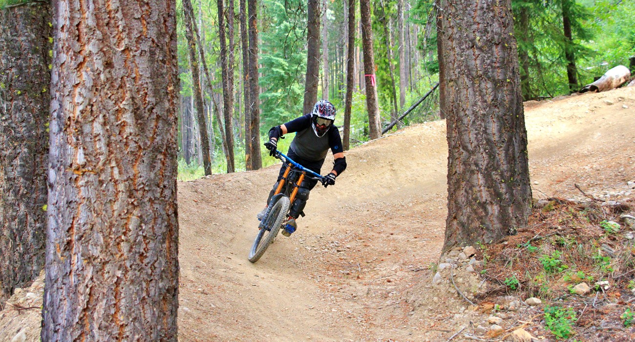 Downhill Adults