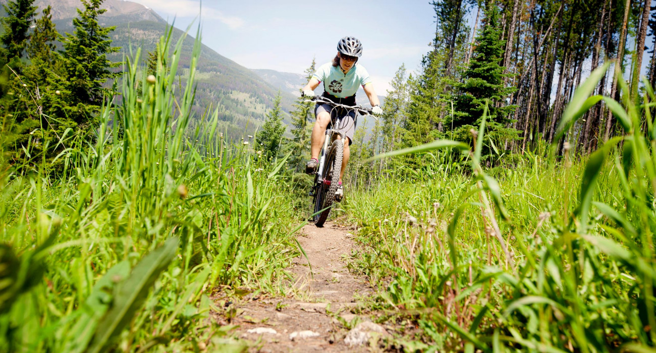 Pano bike cheap