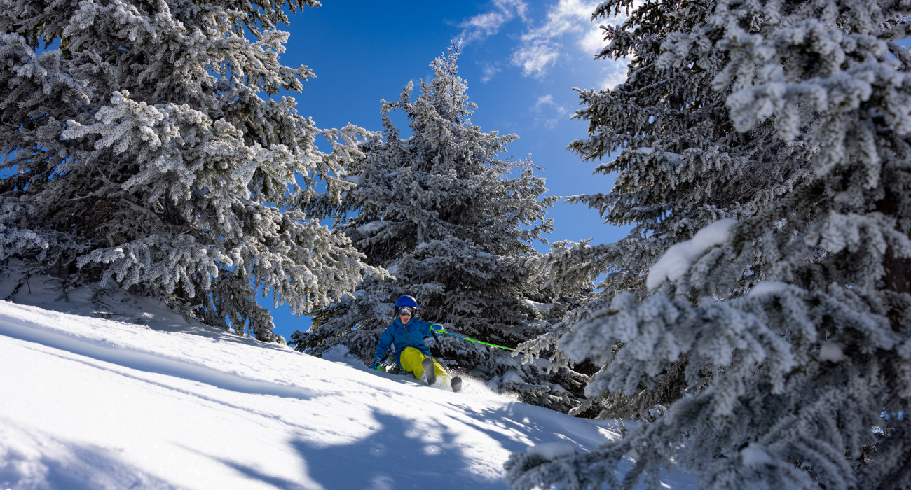 Snow School PanoKids 1742053317