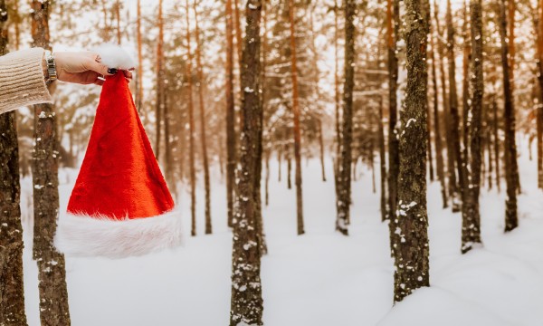 pexels karolina grabowska 5467098