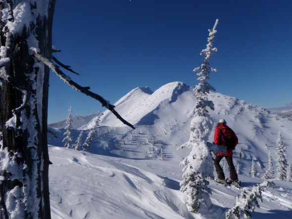 PHOTO H RCRS BACKCOUNTRY BASICS COURSE AT FERNIE BC CANADA 2