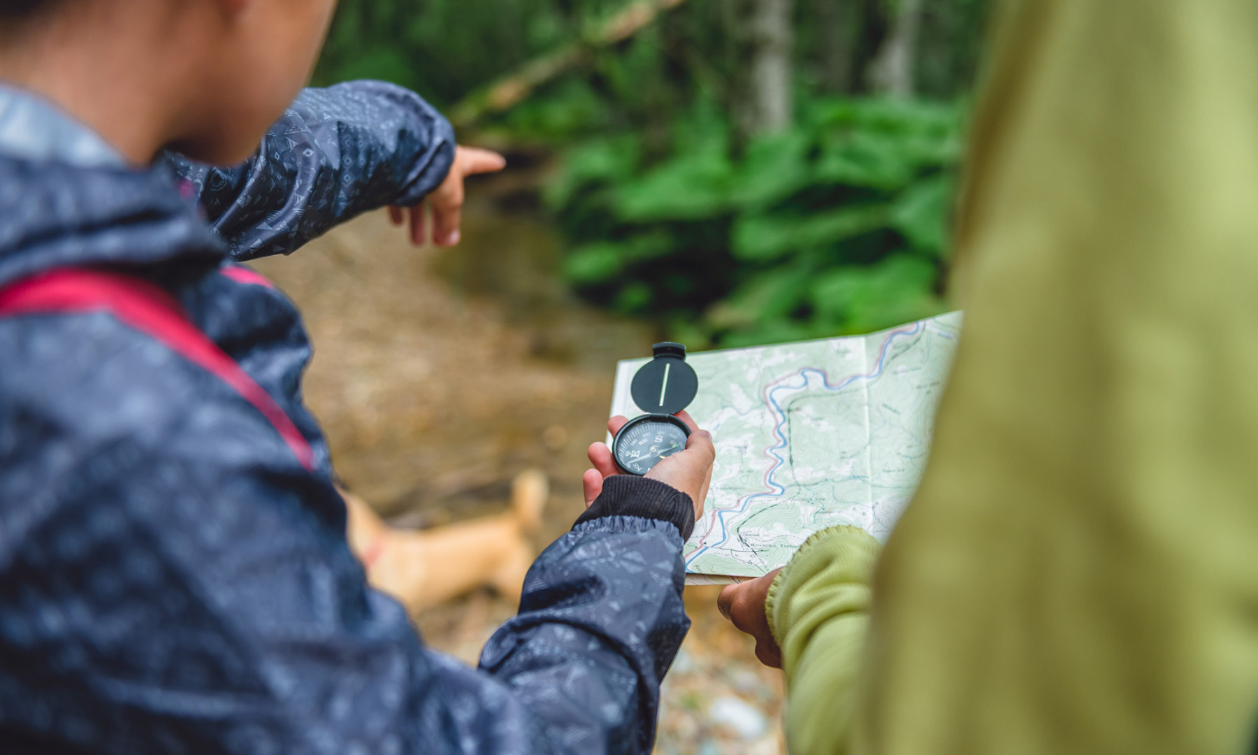 Activities Summer Orienteering iStock 851934613