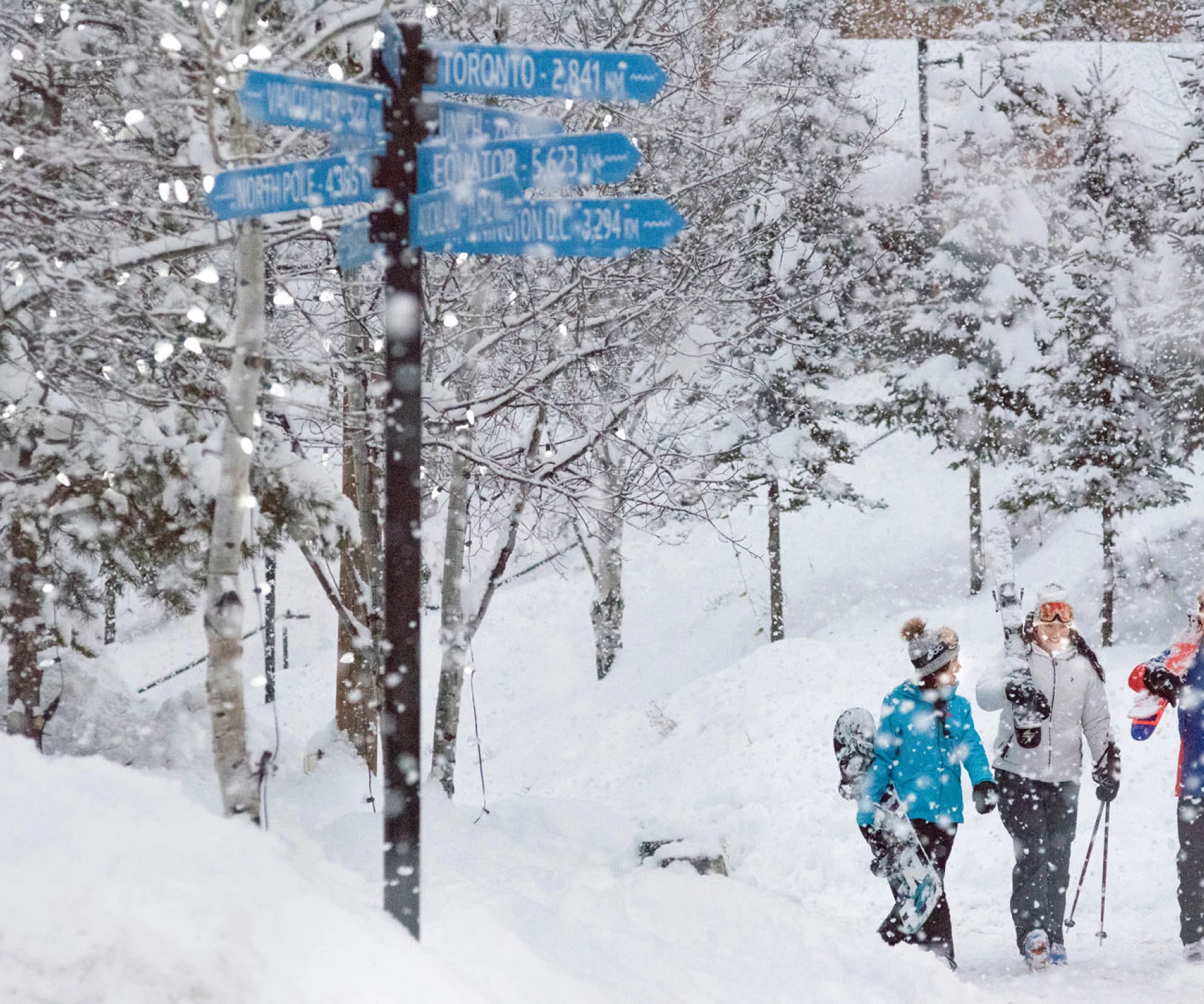 PANO W2017 medig 2673 RGB