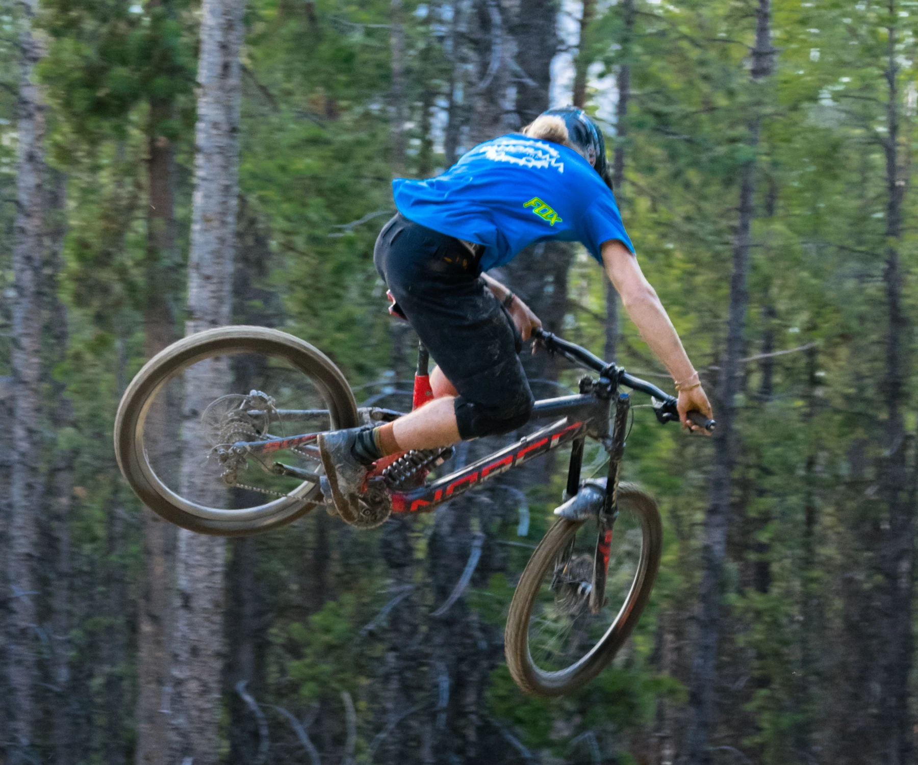 Bike-Park_Norco_20170605.jpg