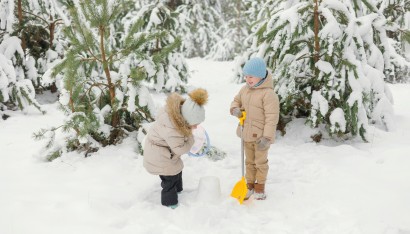 pexels polesietoys 27642769