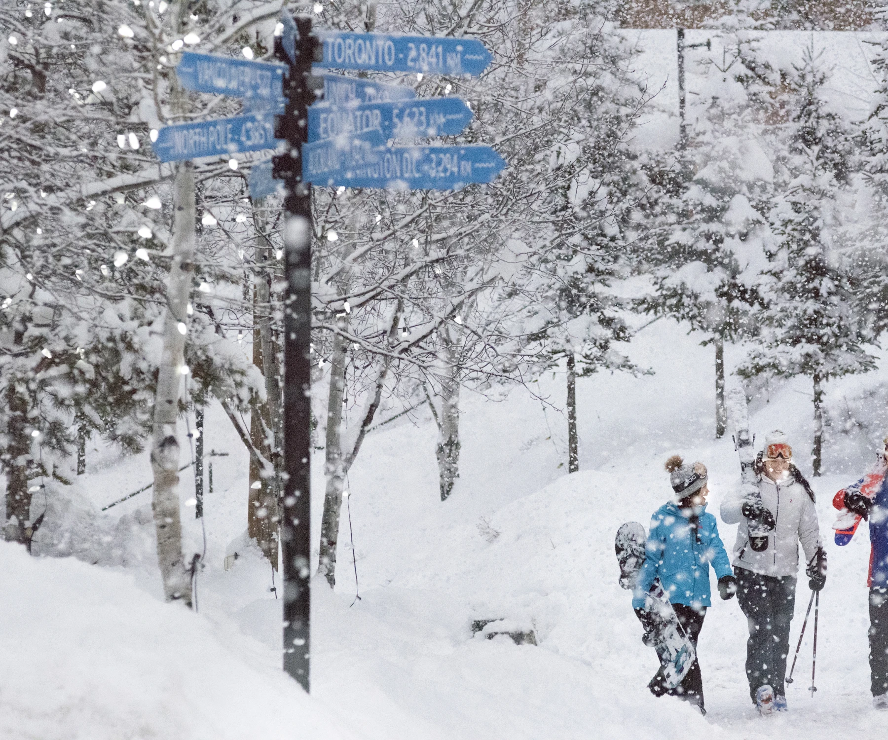 PANO W2017 medig 2673 RGB