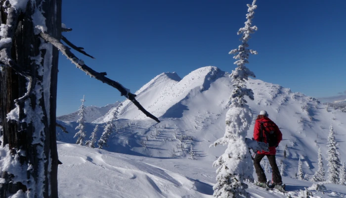 Latest Trends in the Snowsports Industry