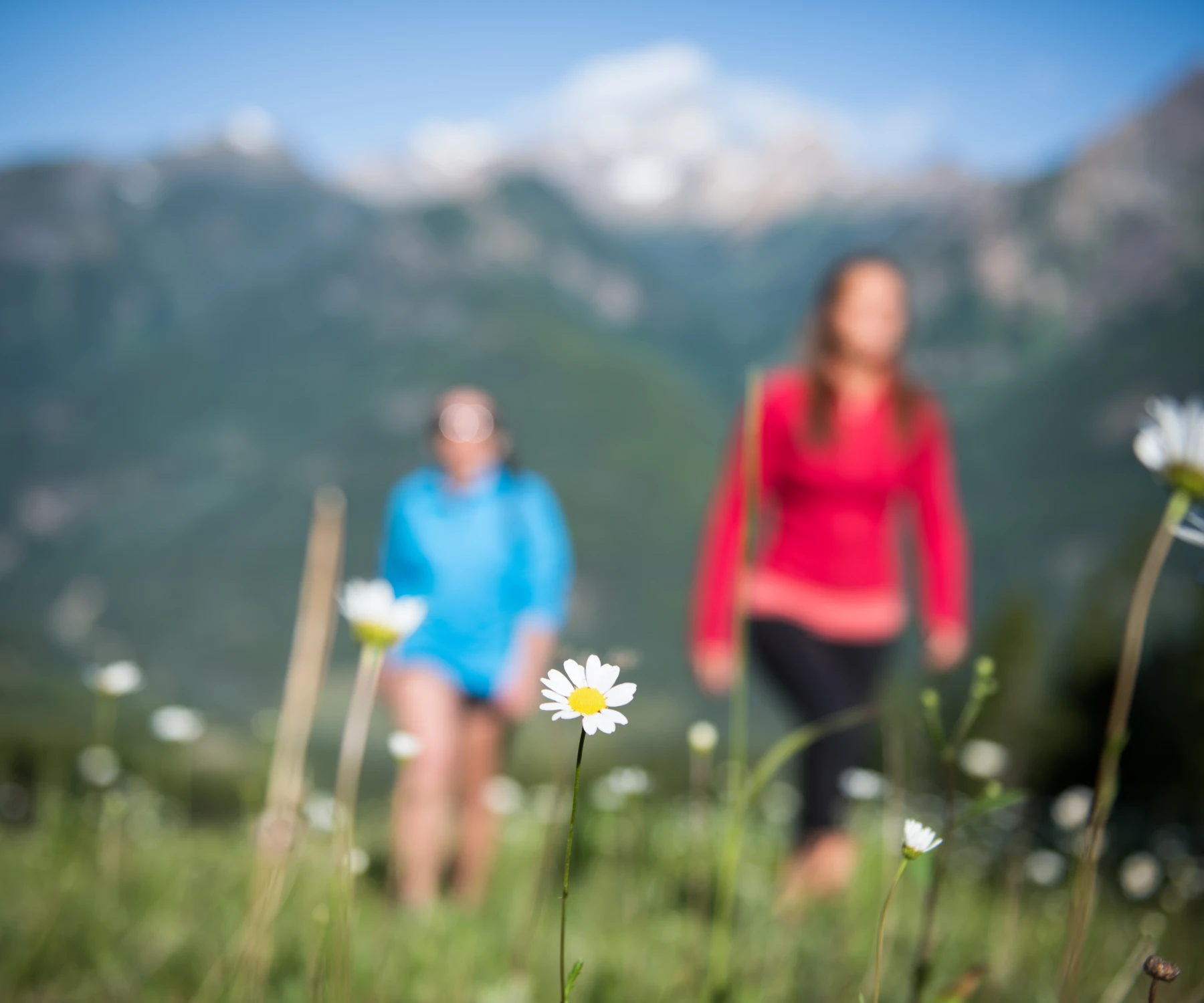 PANO gibson summer 2017 60 RGB