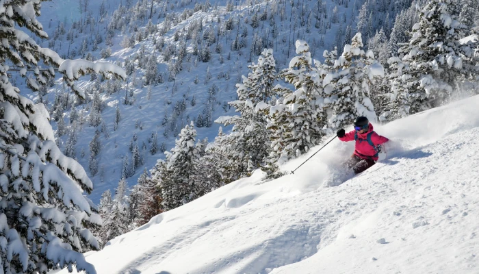 Records Fall As Snow Continues In The BC Rockies