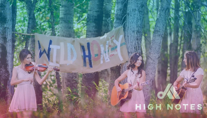 Artist Spotlight 2 | High Notes Music Festival 2018