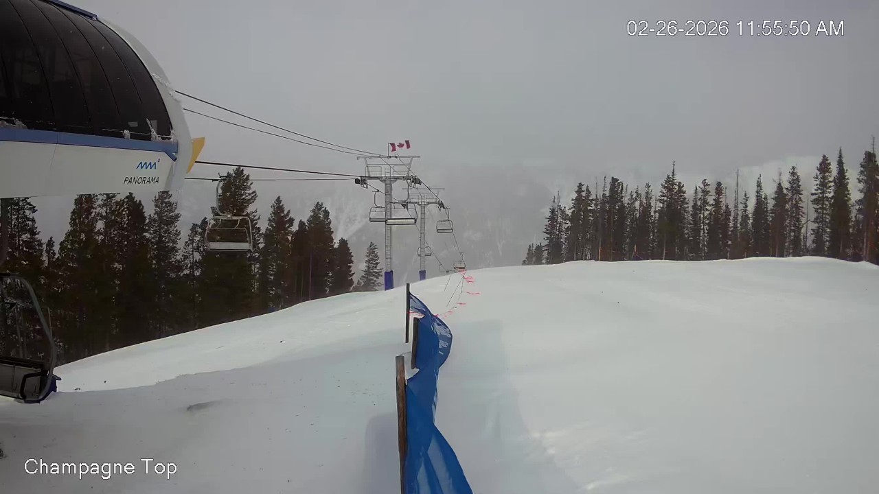 Champagne Express Cam