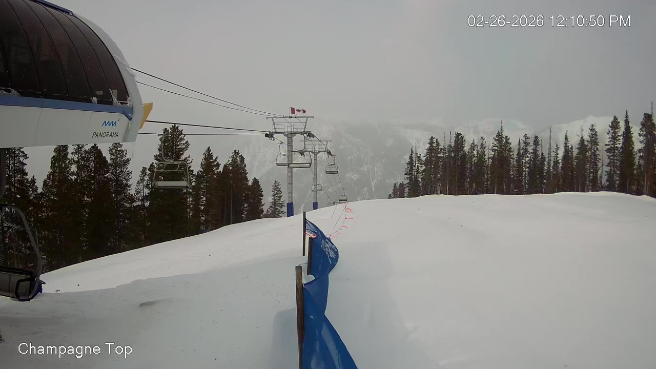 Champagne Express Cam