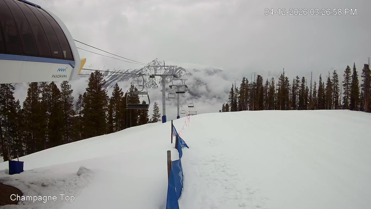 Champagne Express Cam