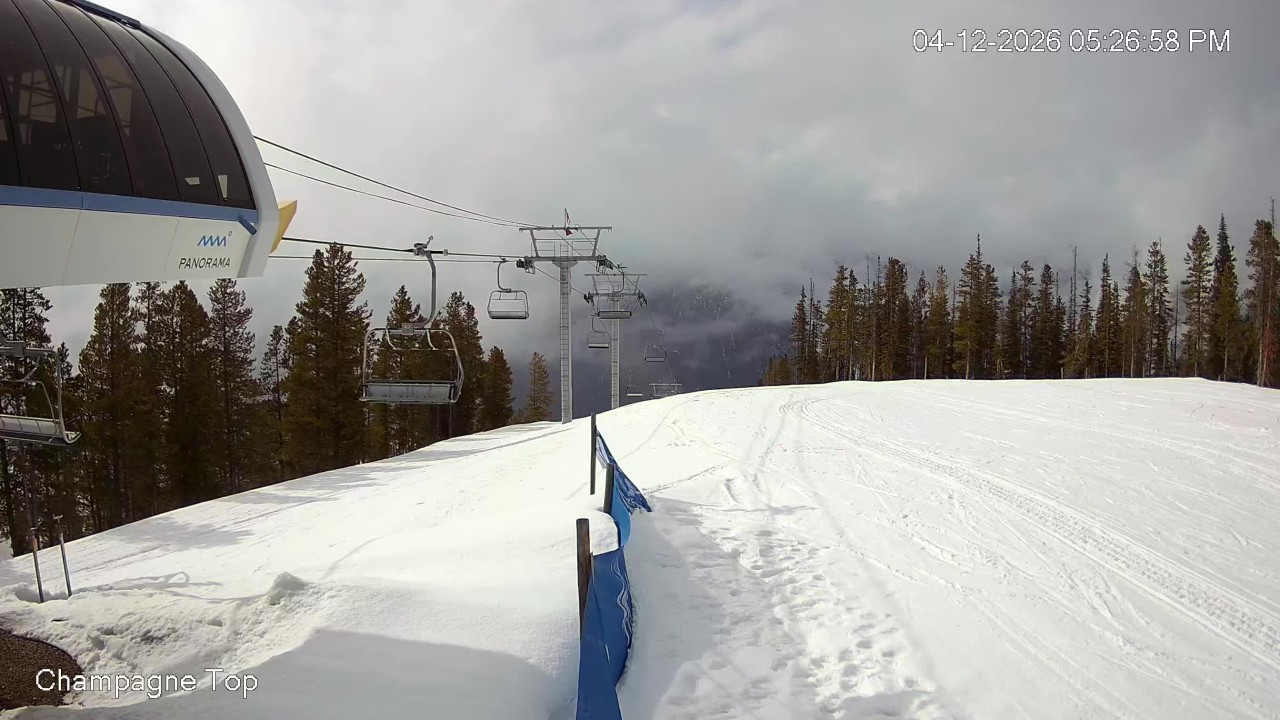 Champagne Express Cam
