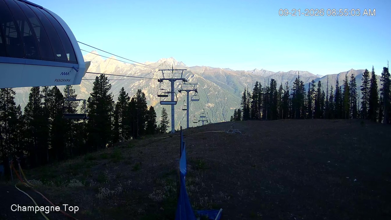 Champagne Express Cam
