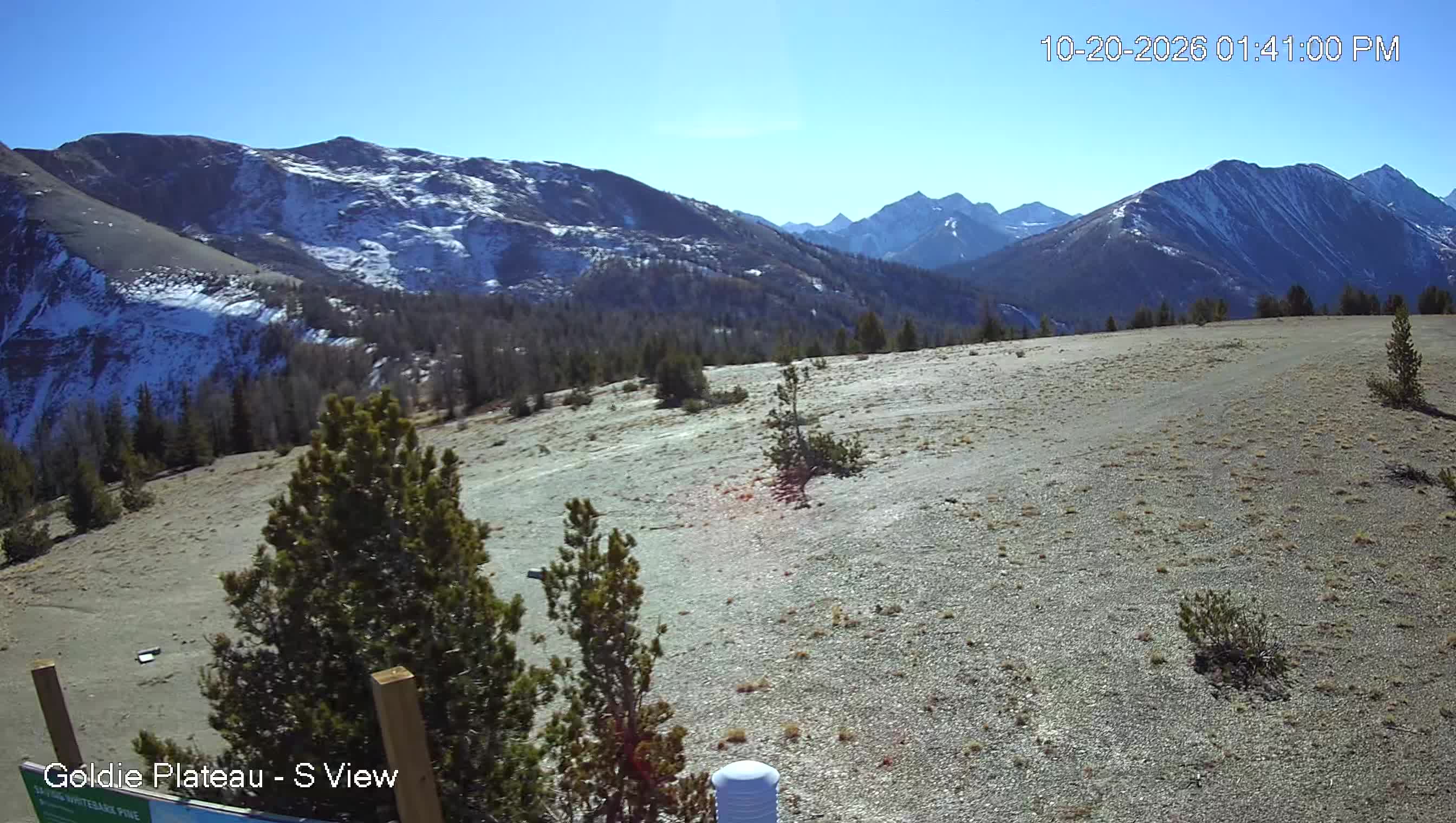 Goldie plateau S webcam at Panorama Mountain Resort, 8,038′