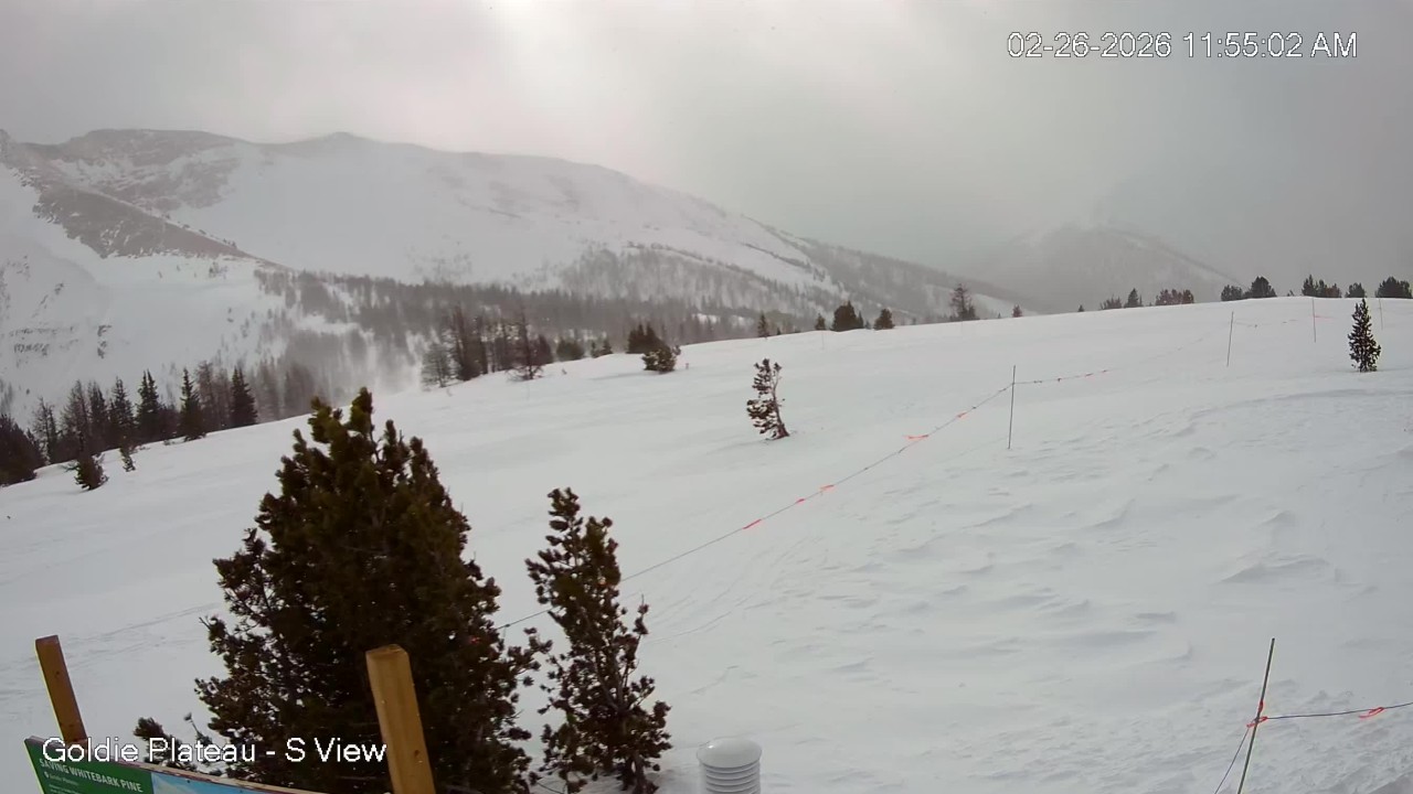 Goldie Plateau South