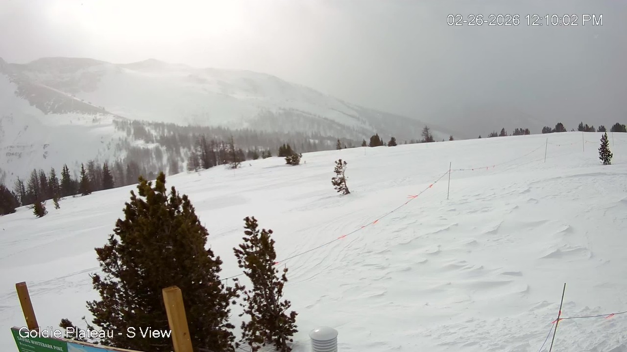 Goldie Plateau South