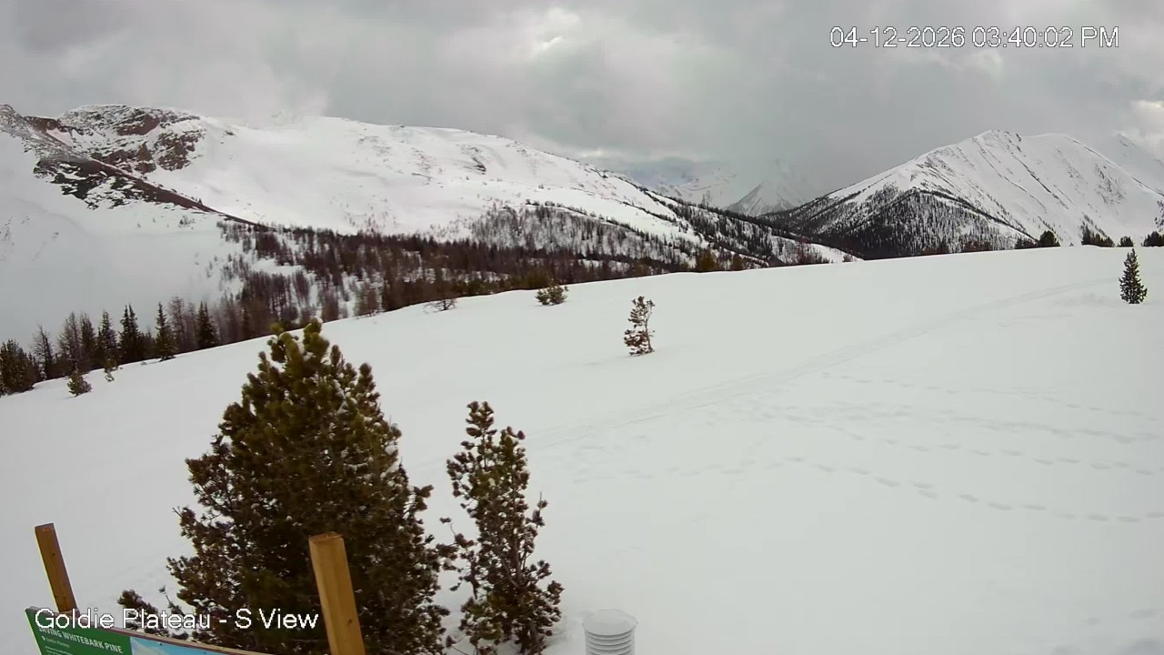 Goldie Plateau South