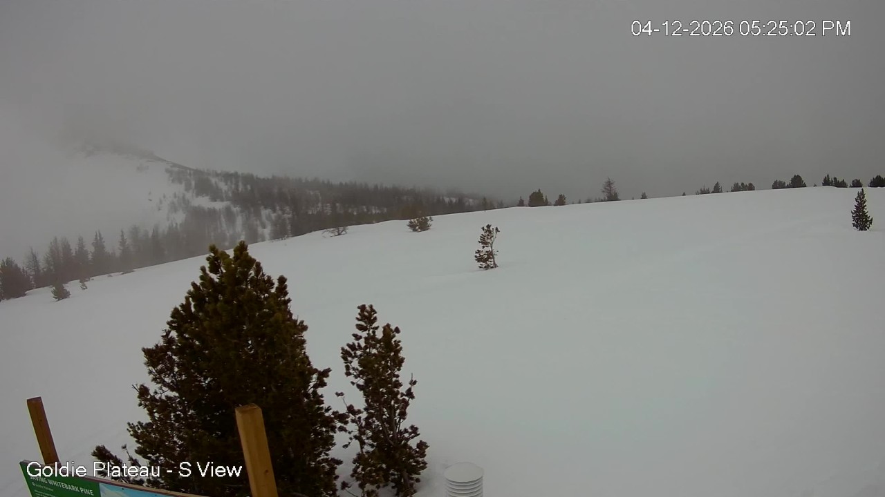 Goldie Plateau South